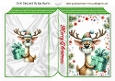 Funny Face Christms Reindeer Folded A5 Book (THREE)