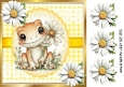 Pretty White Daisies With Cute Frog 8X8 (ONE)
