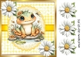 Pretty White Daisies With Cute Frog 8X8 (THREE)