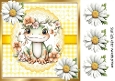 Pretty White Daisies With Cute Frog 8X8 (FOUR)