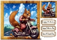 Squirrel On A Motorbike 8x8 (TWO)