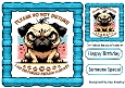 One Angry Pug With Attitude 8X8