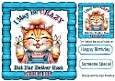 Crazy Cat With Humour 8X8