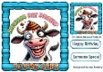 Funny Face Cow With Cheeky Humour 8X8