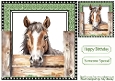 Cheeky Horse Peeking Over Fence 8x8 (TWO)