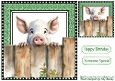 Cheeky Pig Peeking Over Fence 8x8 (THREE)