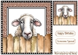 Cheeky Sheep Peeking Over Fence 8x8 (FOUR)