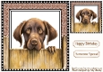 Cheeky Dog Peeking Over Fence 8x8 (FIVE)