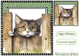 Cute Cat Peeking Over Fence 8x8 (SIX)