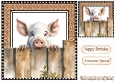Funny Pig Peeking Over Fence 8x8 (NINE)