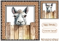 Funny Face Llama Peeking Over Fence 8x8 (TEN)