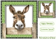 Cheeky Donkey Peeking Over Fence 8x8 (ELEVEN)