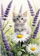 Cute Grey Kitten With Bluebells A4