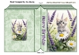 Cute Grey Kitten With Bluebells Folded Book
