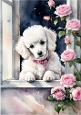 Cute White Puppy With Pink Roses A4