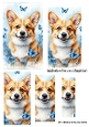 Cute Corgi With Blue Butterflies Pyramids