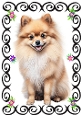 Cute Brown Pomeranian Puppy In Black Scroll Frame A4