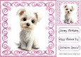 Cute White Westie Puppy With Pink Swirls  8x8