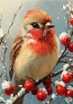 Lovely Robin With Snow And Red Berries A4