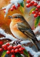 Lovely Robin With Snow On A Branch A4