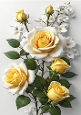 Pretty Yellow/White Roses & Buds A4