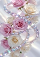 Pink & White Roses With Sparkling Diamonds A4
