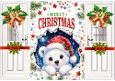 Cute Peek A Boo Polar Bear Gatefold (THREE)