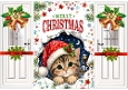 Cute Peek A Boo A Cute Kitten Gatefold (FOUR)