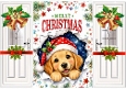 Cute Peek A Boo A Cute Puppy Gatefold (FIVE)