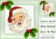 Lovely Jolly Santa With Holly 8X8 (ONE)