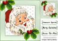 Lovely Jolly Santa With Holly 8X8 (TWO)