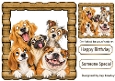 Funny Faces Dogs In Wooden Frame 8x8