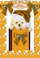 Cute Westie in Gold Santa Hat A4
