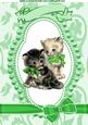 Lovely Kitties in Bead Frame with Green Bow A4
