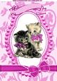 Little Kitties in Bead Frame with Pink Bows A4