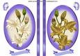 Lillies in Cream and Gold Purple Oval Frame Toppers