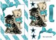 Cute Pair of Kitties with Turq Bow