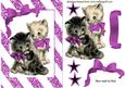 Cute Little Kitties in Pink Bows