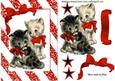 Cute Pair of Kitties with Red Bow