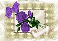 Beautiful Purple Roses on Vintage Cream Lace A4