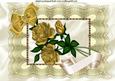 Beautiful Gold Roses on Vintage Cream Lace A4