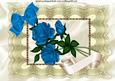Beautiful Blue Roses with Bow on Vintage Cream Lace A4
