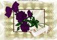 Dark Purple Roses on Cream Vintage Lace A4