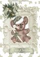 Koala Bear in Silver, in Ornate Frame A4