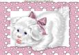 Cute White Puppy in Pink Dotty Frame A4