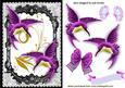 Beautiful Cerise Humming Birds in Lace Frame with Butterfly