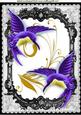 Beautiful Purple Humming Birds in Frame with Butterflies A4