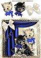 Vintage Kittens in Blue Ornate Frame with Drapes