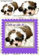 As Cute as Can Be Puppy in Purple Frame