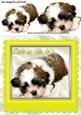 as Cute as Can Be Puppy in Yellow Frame